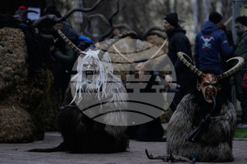 APTOPIX Austria Christmas Season Traditions