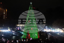 Пазарджик - коледна елха - празнични светлини