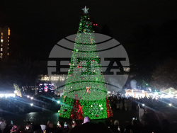 Пазарджик - коледна елха - празнични светлини