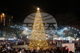 Пазарджик - коледна елха - празнични светлини