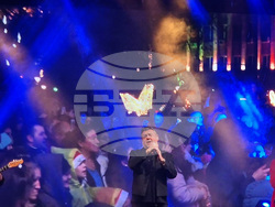 Пазарджик - коледна елха - празнични светлини