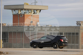 Guarded by Predators