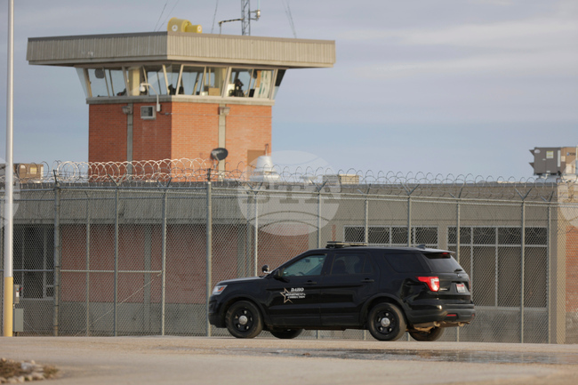 Guarded by Predators