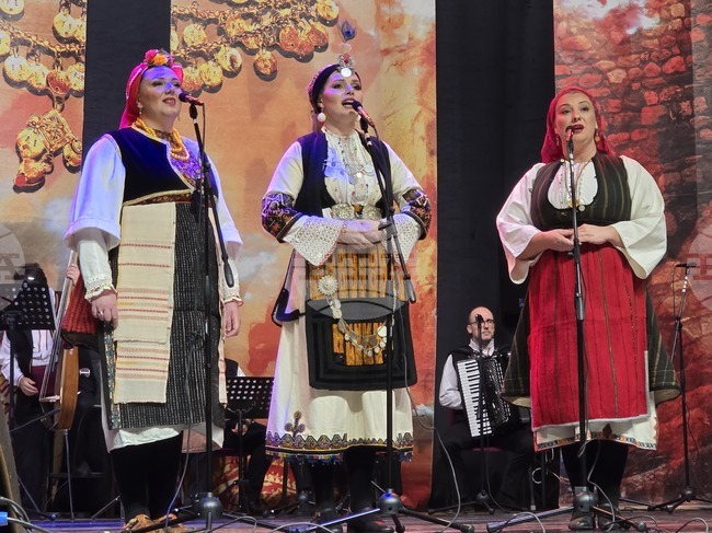 Гоце Делчев - коледен концерт