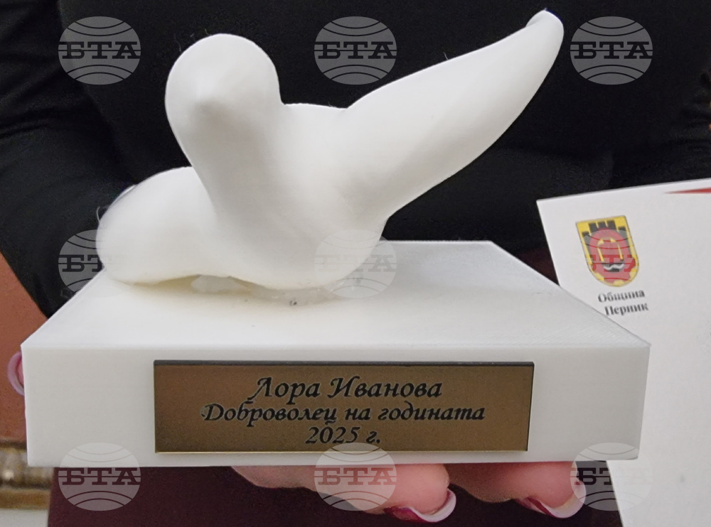 Перник - Международен ден на доброволеца - отбелязване