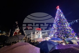 Кърджали - Коледна елха - празнични светлини