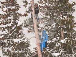 US World Cup Super G Skiing
