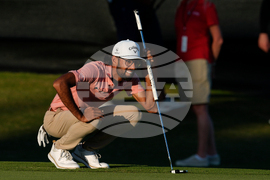 Bahamas Hero World Challenge Golf
