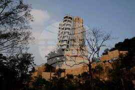 Frank Gehry Photo Gallery