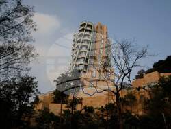 Frank Gehry Photo Gallery