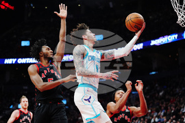 Hornets Raptors Basketball