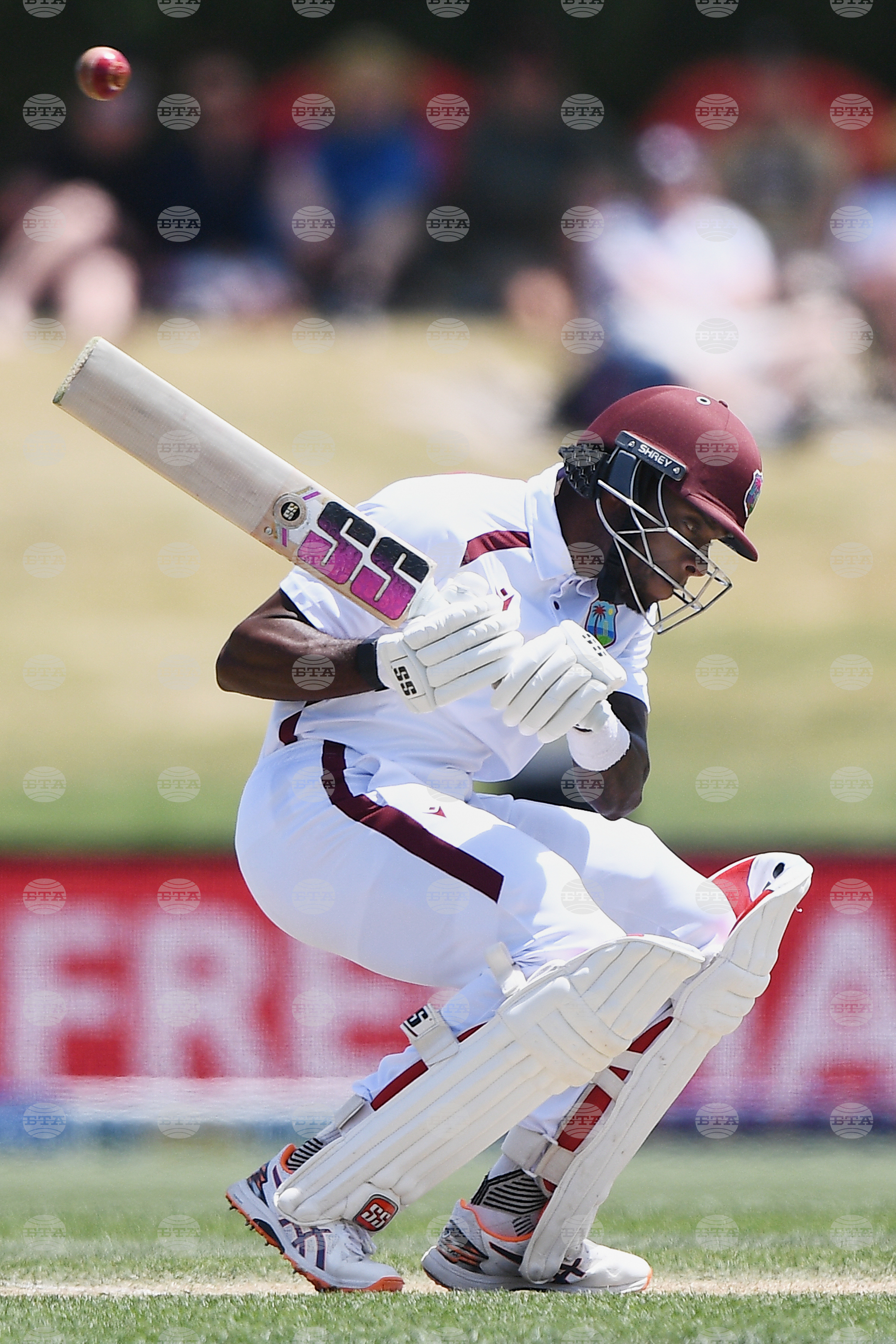 New Zealand West Indies Cricket