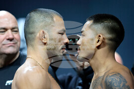 UFC 323 Mixed Martial Arts