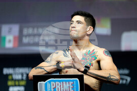 UFC 323 Mixed Martial Arts