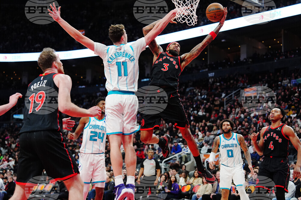 Hornets Raptors Basketball