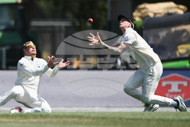 New Zealand West Indies Cricket