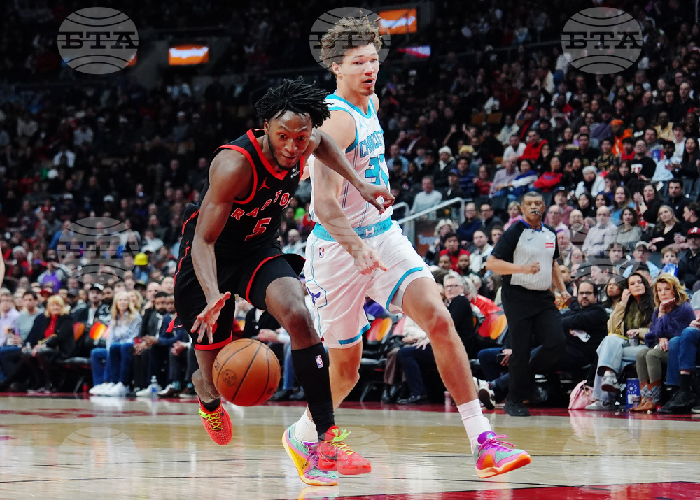 Hornets Raptors Basketball