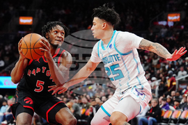 Hornets Raptors Basketball