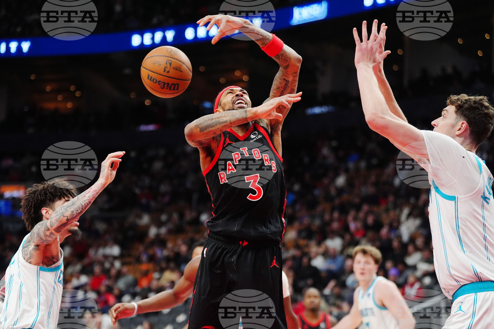 Hornets Raptors Basketball