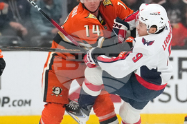 Capitals Ducks Hockey