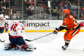 Capitals Ducks Hockey