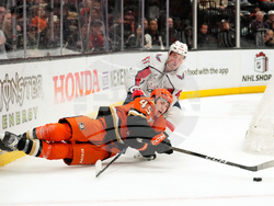 APTOPIX Capitals Ducks Hockey