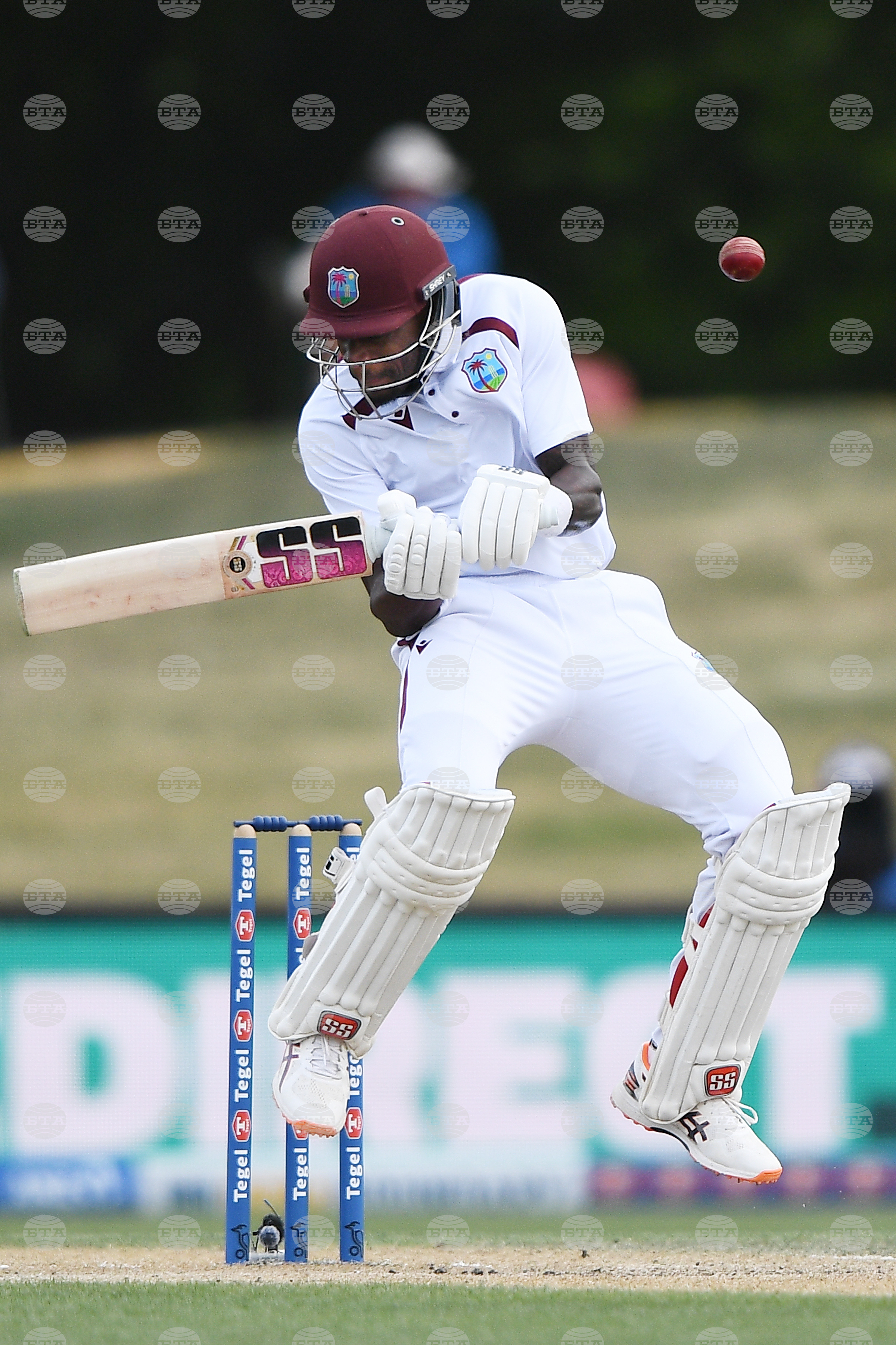 New Zealand West Indies Cricket