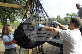 Bear Hunt Florida What to Know