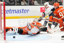 Capitals Ducks Hockey