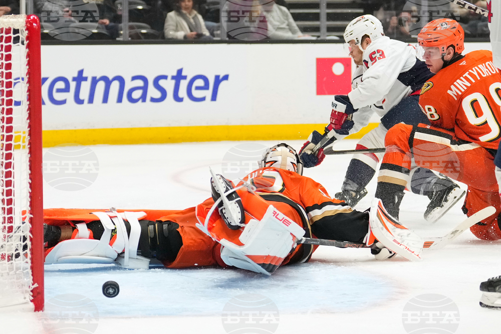 Capitals Ducks Hockey