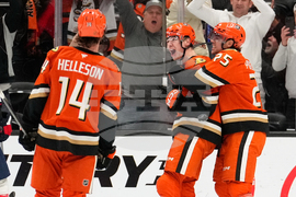 Capitals Ducks Hockey