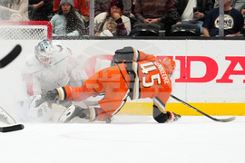 Capitals Ducks Hockey