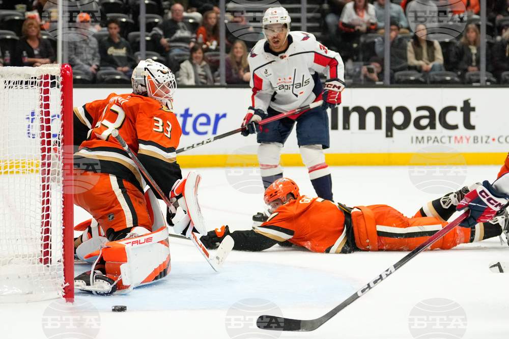 Capitals Ducks Hockey