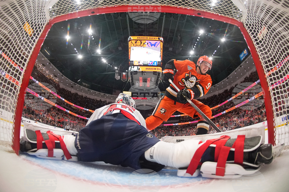Capitals Ducks Hockey