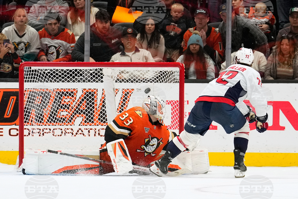 Capitals Ducks Hockey