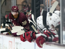 Devils Coyotes Hockey