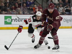 Devils Coyotes Hockey