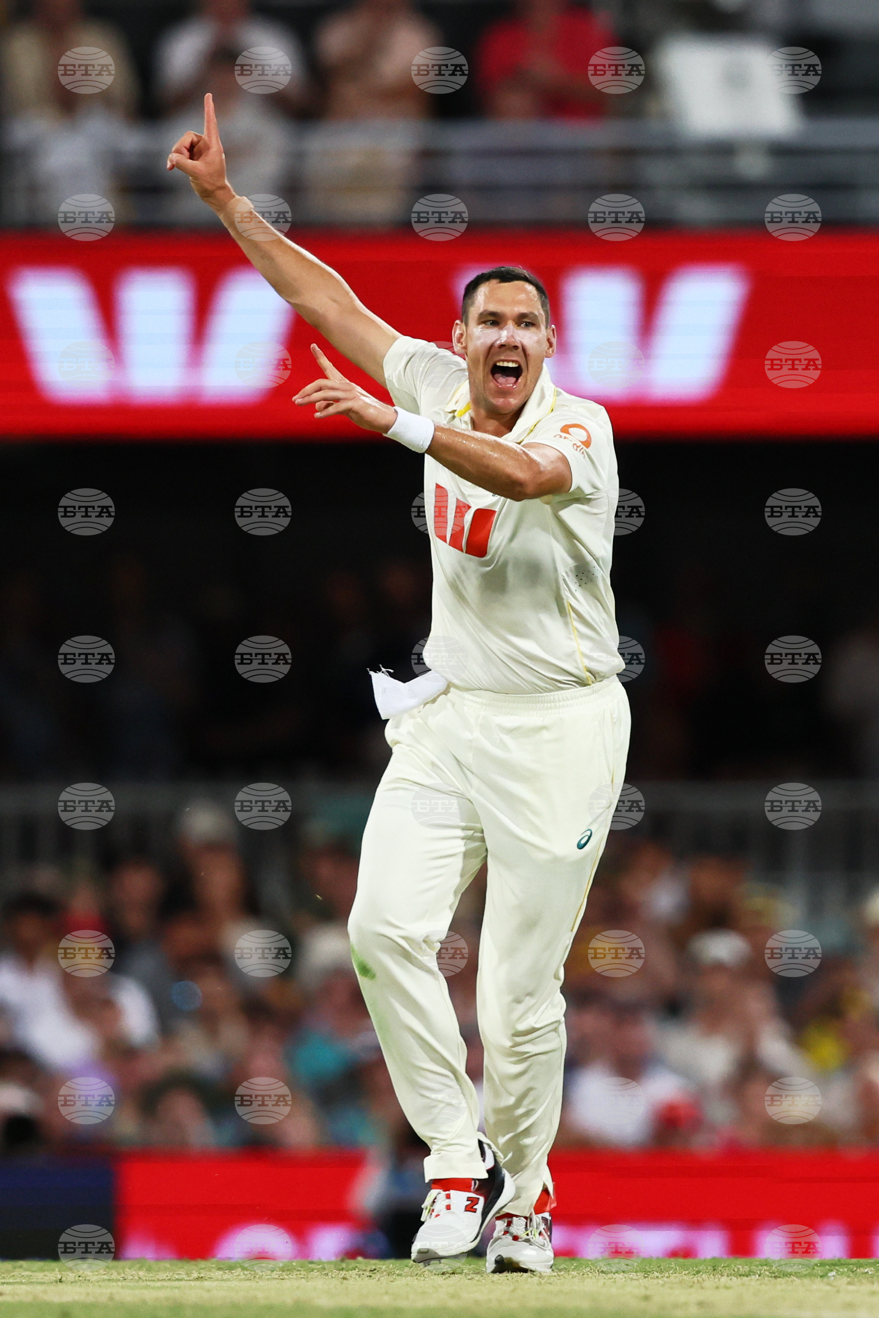 Australia England Cricket