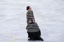 Japan Figure Skating