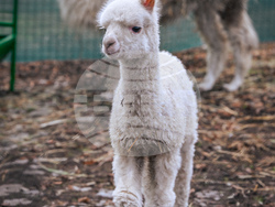 Снимка: Столична община