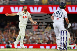 Australia England Cricket