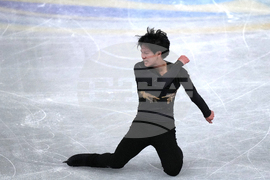 Japan Figure Skating