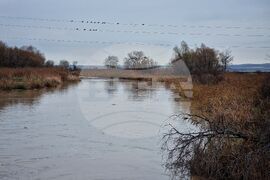 Село Димчево - река Факийска - ниво