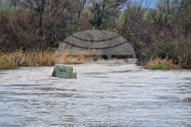 Село Димчево - река Факийска - ниво