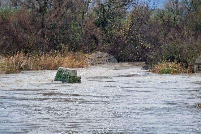 Село Димчево - река Факийска - ниво