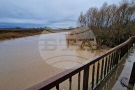 Село Димчево - река Факийска - ниво