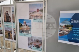 Враца - Никулден - курбан