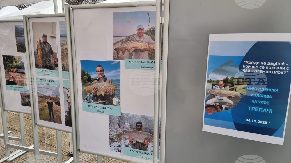 Враца - Никулден - курбан