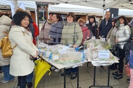 Враца - Никулден - курбан