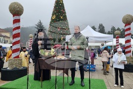 Враца - Никулден - курбан